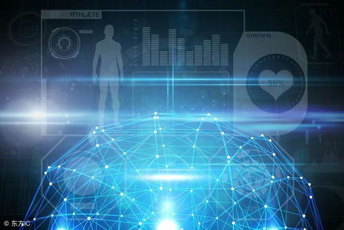 網(wǎng)絡(luò)信息技術(shù)開發(fā)的現(xiàn)狀與未來趨勢